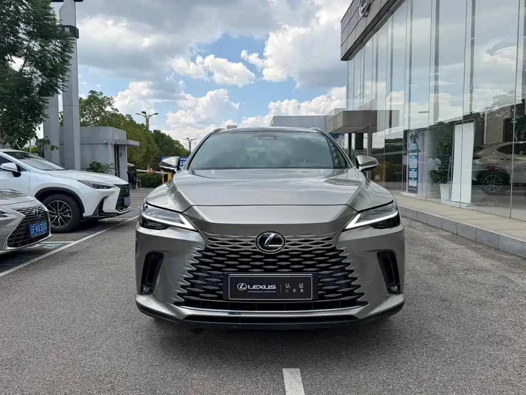 Lexus RX New Energy — миниатюра 4