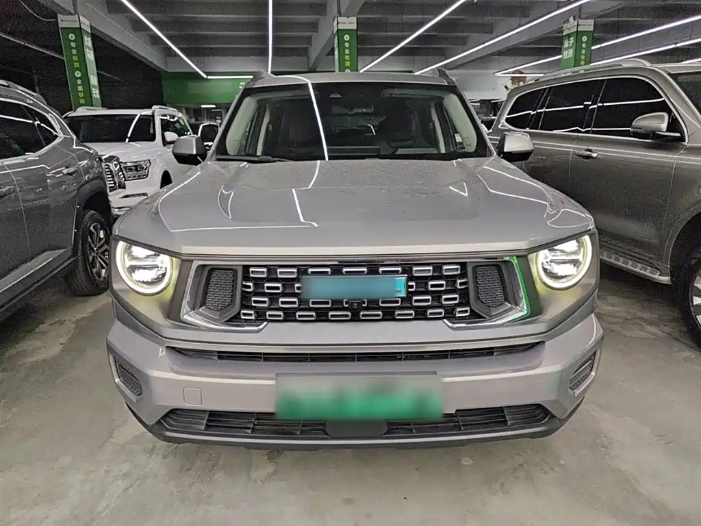 HAVAL  SECOND GENERATION BIG DOG NEW ENERGY