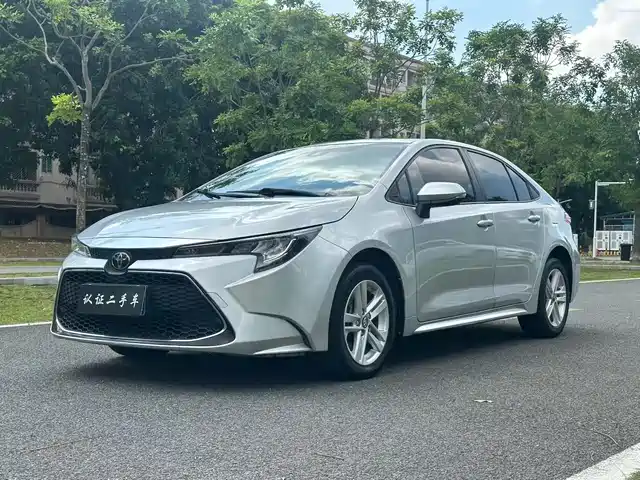 TOYOTA LEI LING 2021