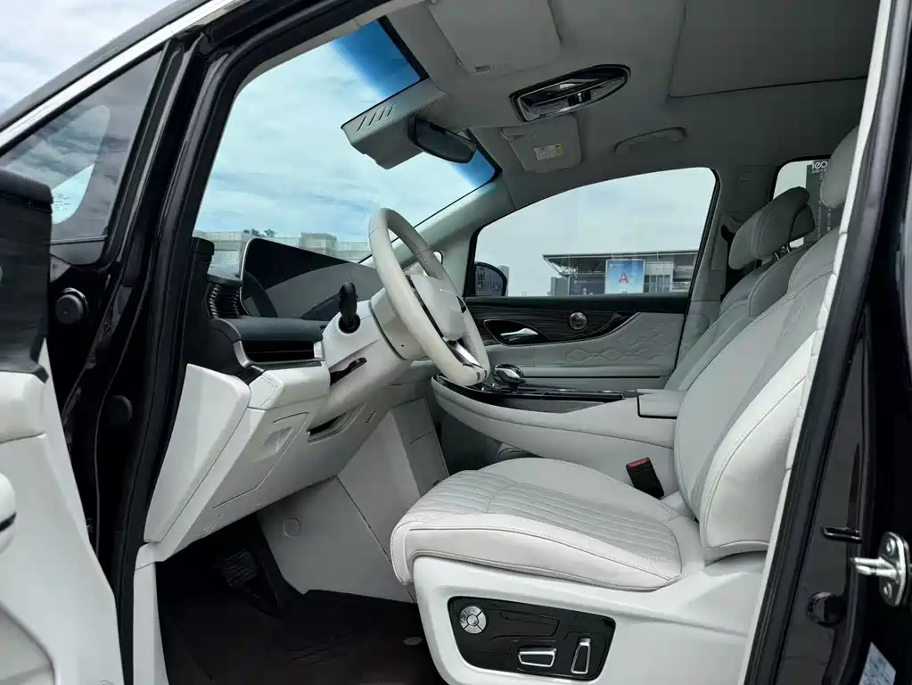 Dongfeng V9 2024 1.5TD 200km Luxury