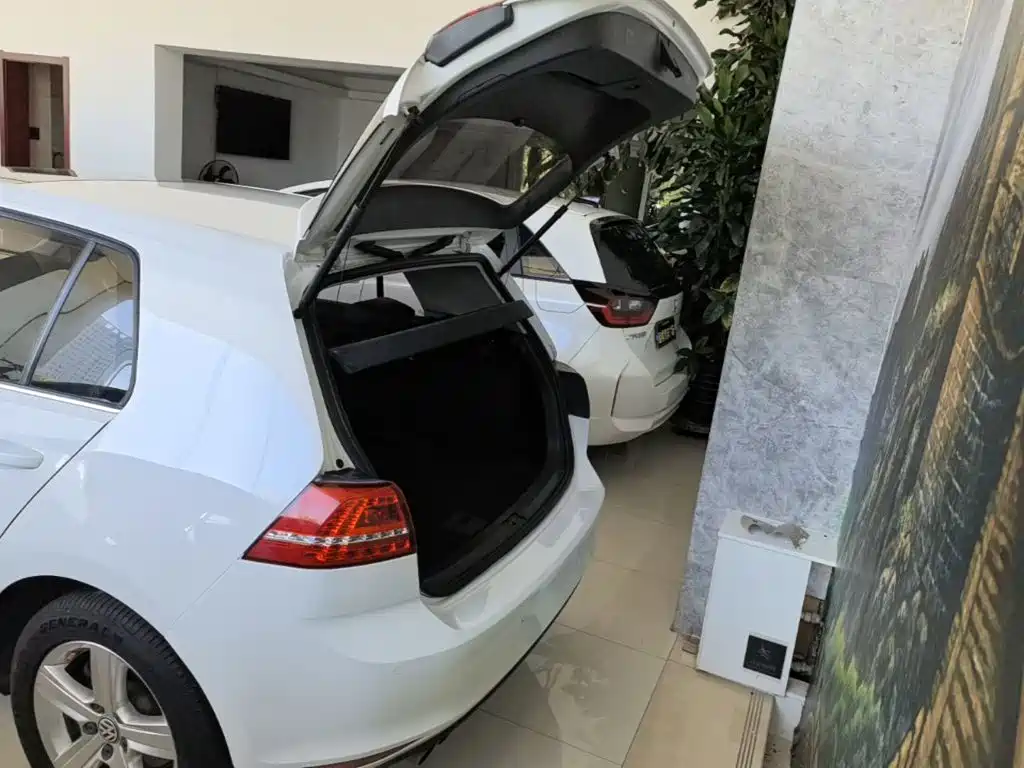 Volkswagen Golf — миниатюра 19