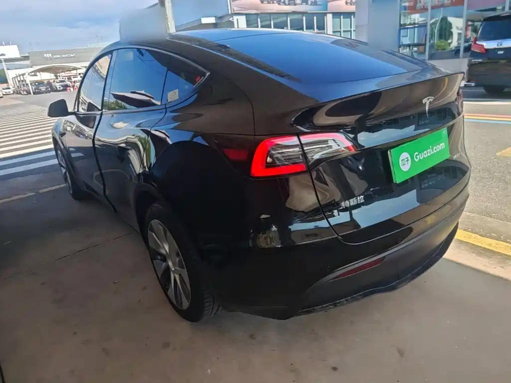 Tesla Model Y — миниатюра 5