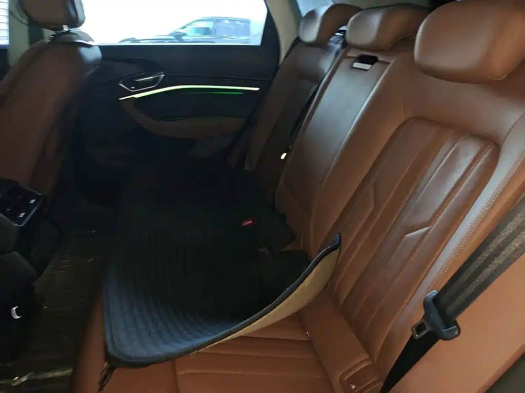 Audi e-tron (Import) — миниатюра 17