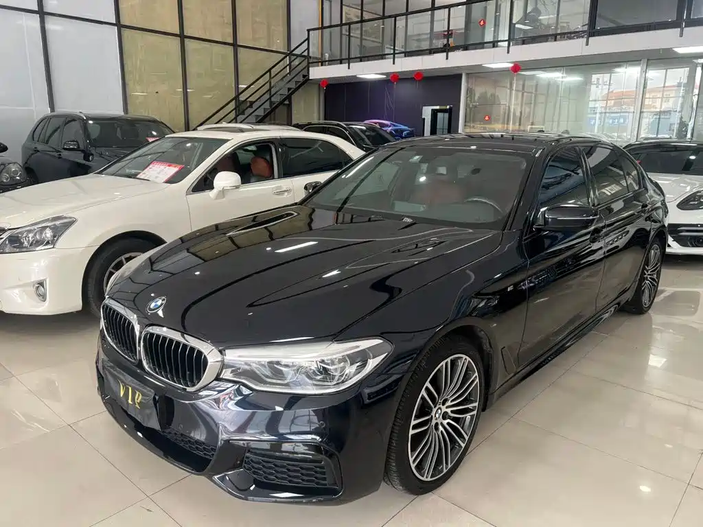 BMW 5 Series — миниатюра 2