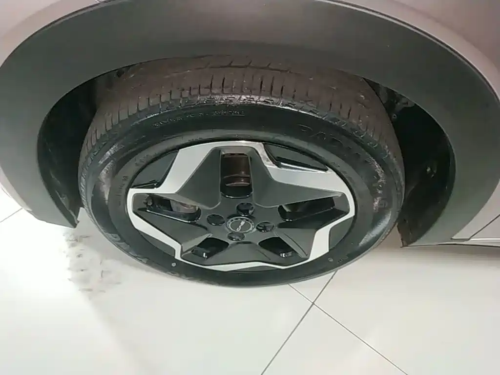 BYD Dolphin — миниатюра 23