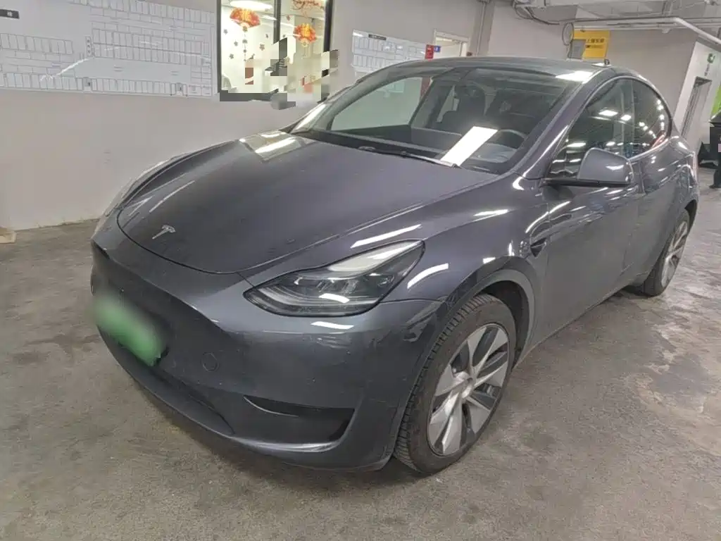 Tesla Model Y — миниатюра 2