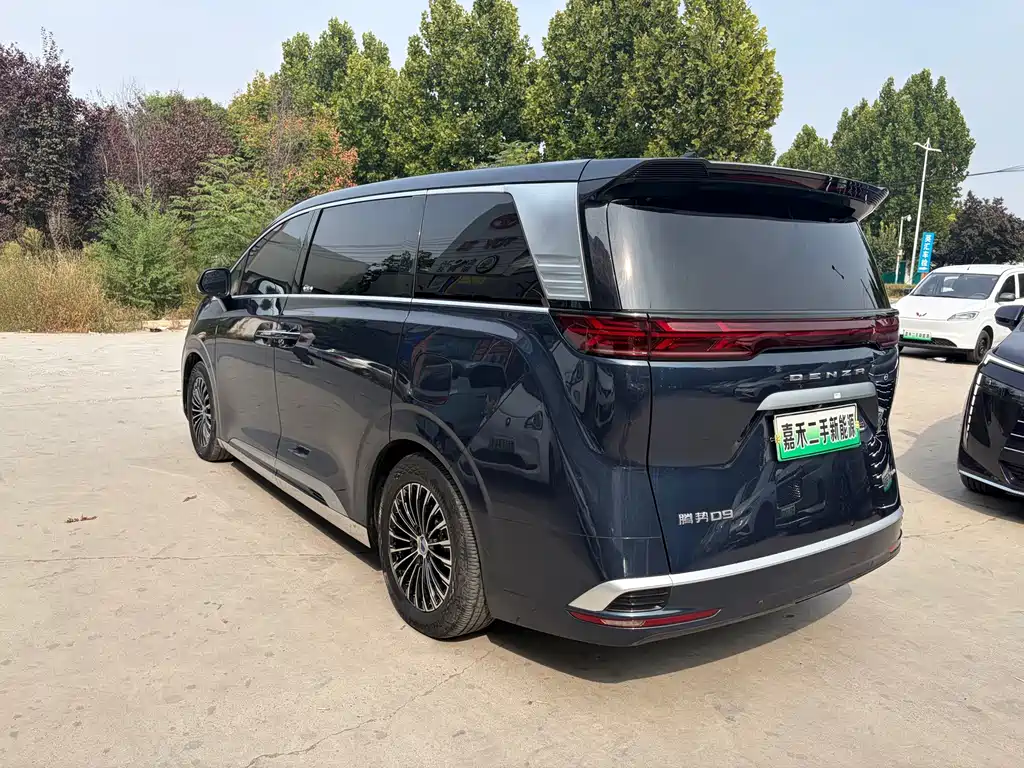 Denza Denza D9 — миниатюра 8