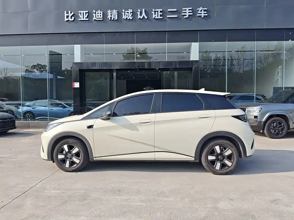 BYD Dolphin — миниатюра 4