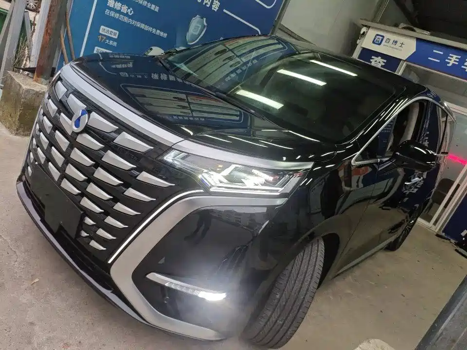 Denza Denza D9