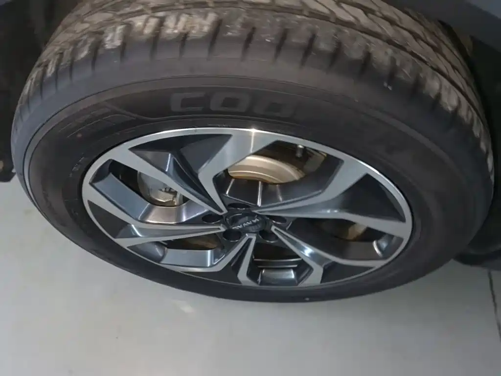 Haval Xiaolong MAX — миниатюра 23