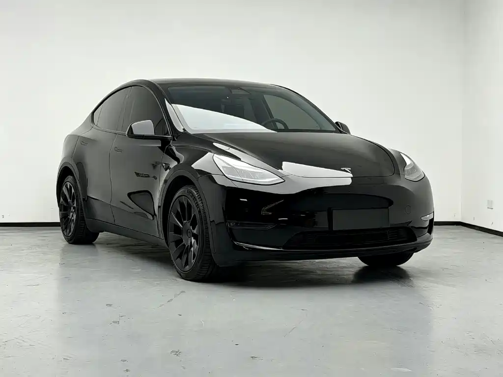 Tesla Model Y — миниатюра 5