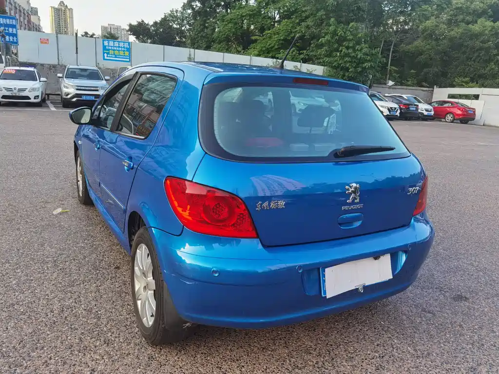 Peugeot 307 — миниатюра 5