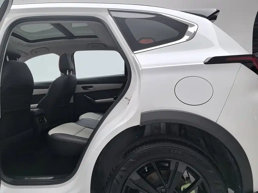 Haval Chitu — миниатюра 15