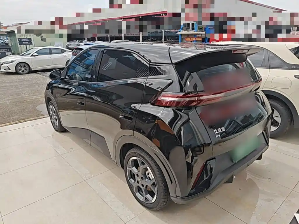 BYD Seagull 2024 305km Freedom