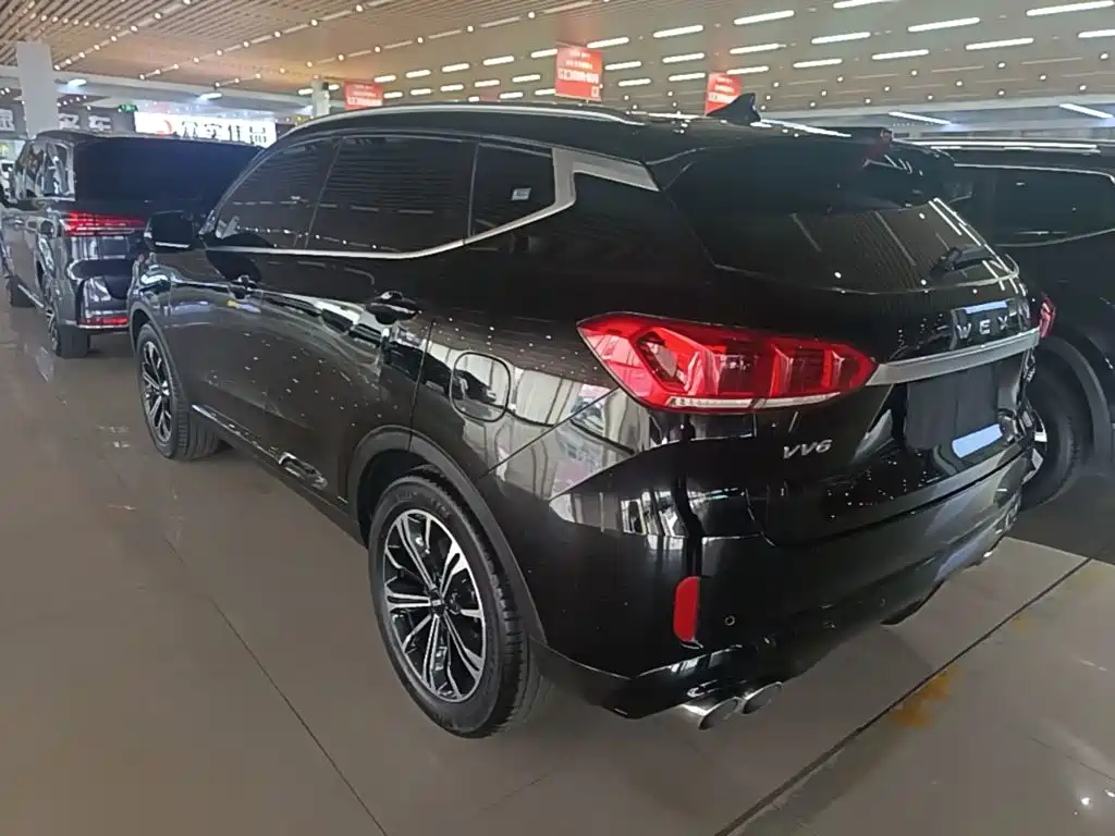 Wey Wey VV6 — миниатюра 5