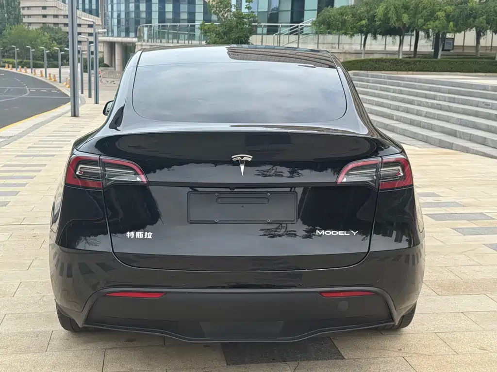Tesla Model Y — миниатюра 5