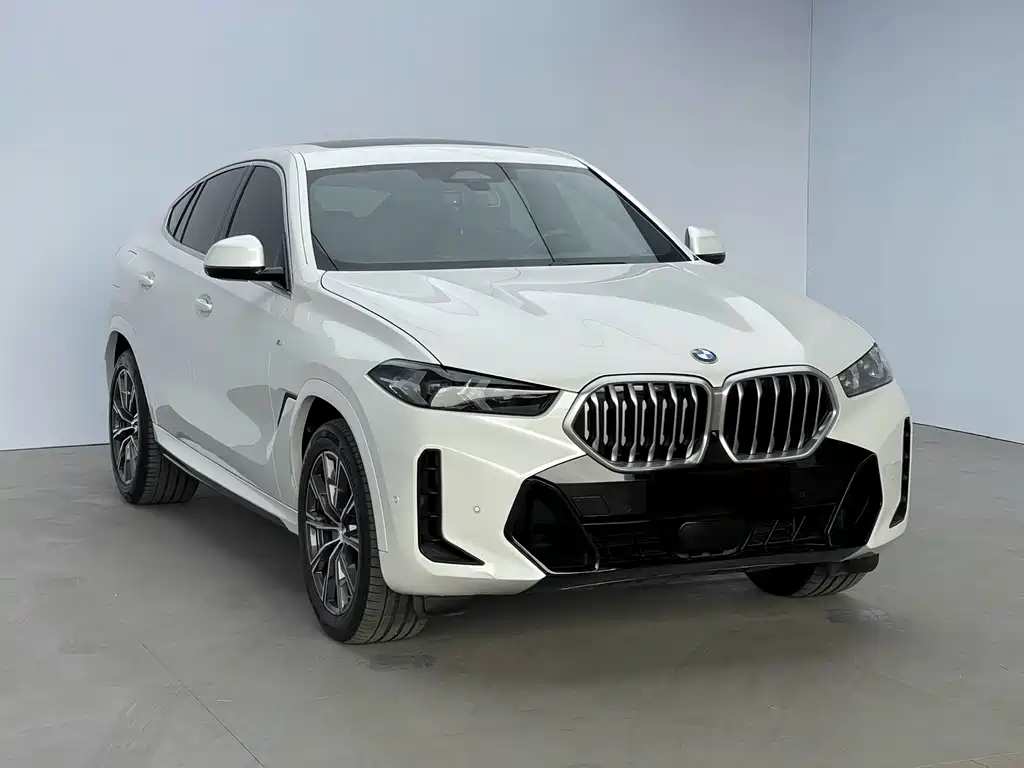 BMW X6 2023 xDrive30i M Sport
