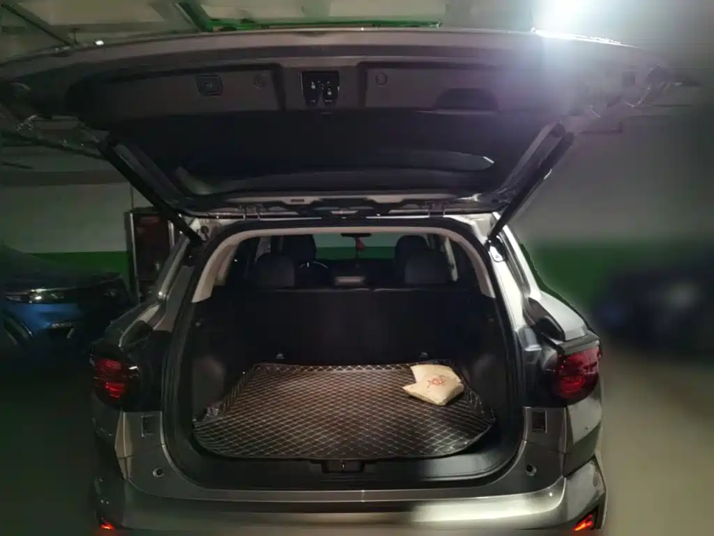 Haval Haval Big Dog PLUS — миниатюра 10