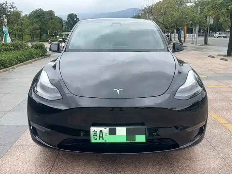 Tesla Model Y — миниатюра 2