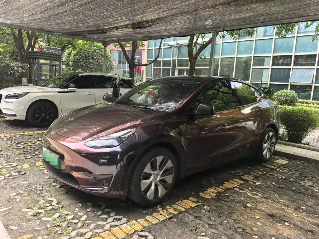 Tesla Model Y 2023 RWD Drive Dynamic Edition