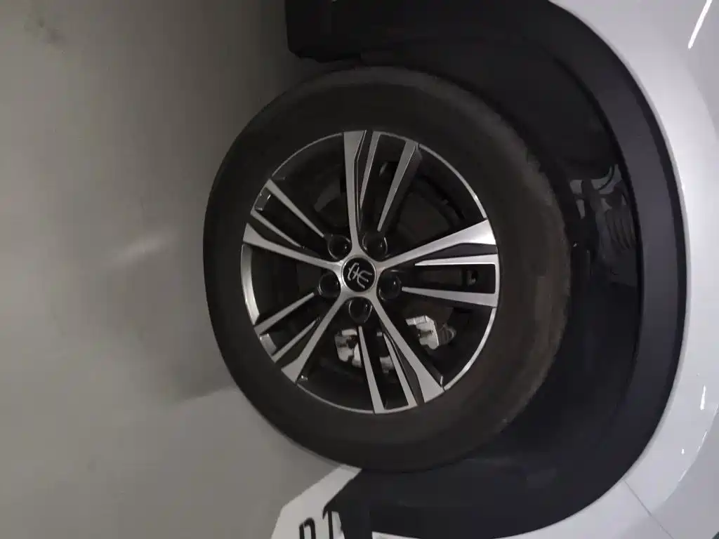 BYD Pro New Energy — миниатюра 8