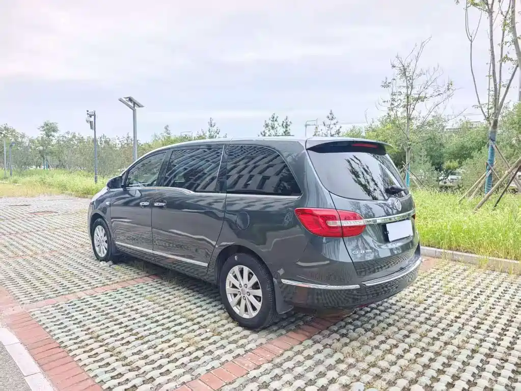 Buick GL8 — миниатюра 4