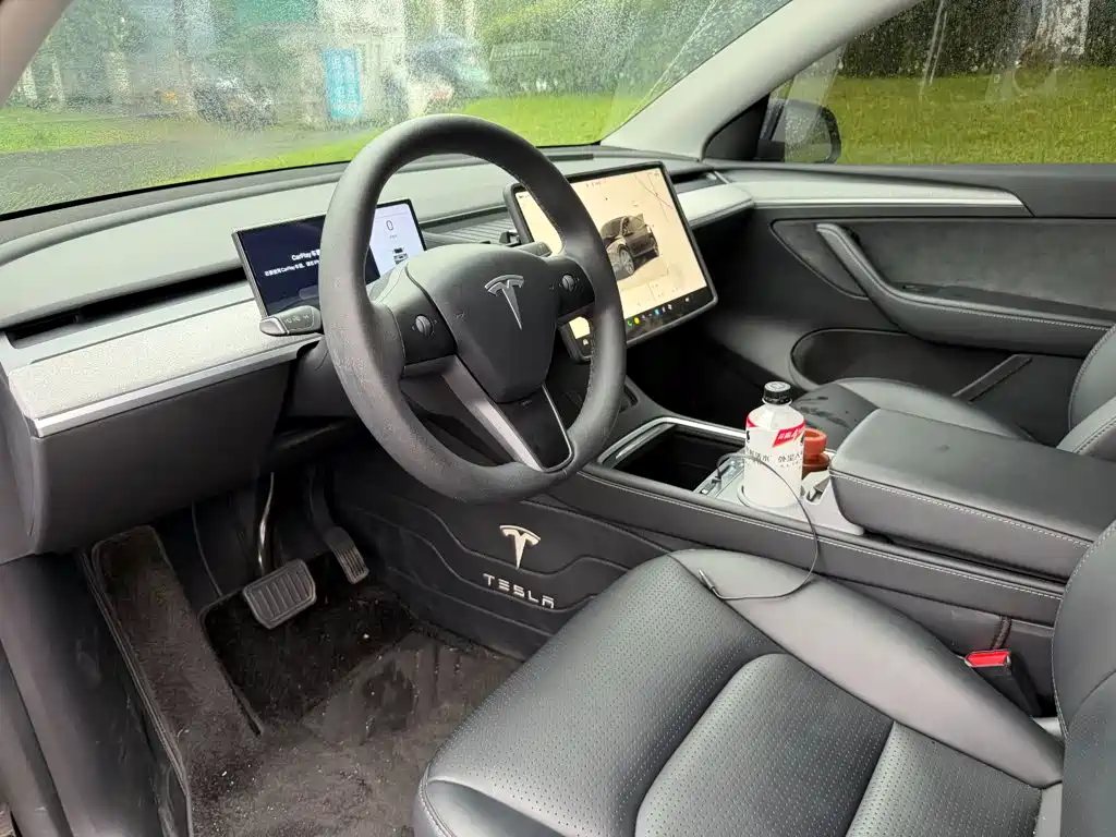 Tesla Model Y — миниатюра 7