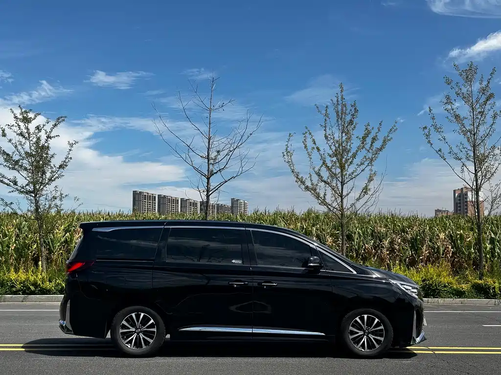 GAC Motor Trumpchi M8 — миниатюра 4