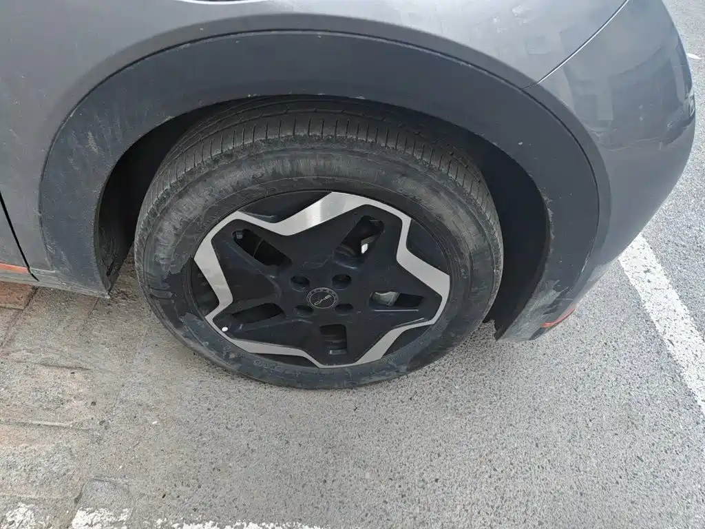 BYD Dolphin — миниатюра 8