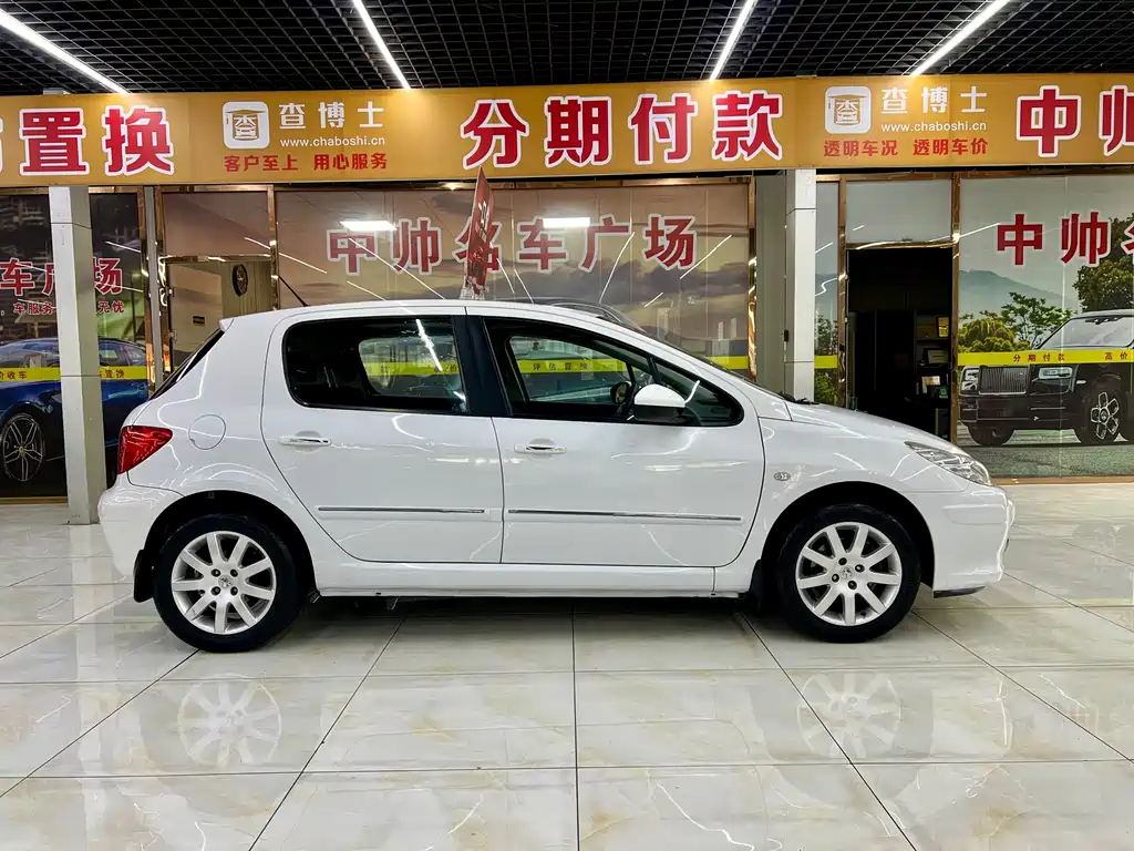 Peugeot 307 — миниатюра 7