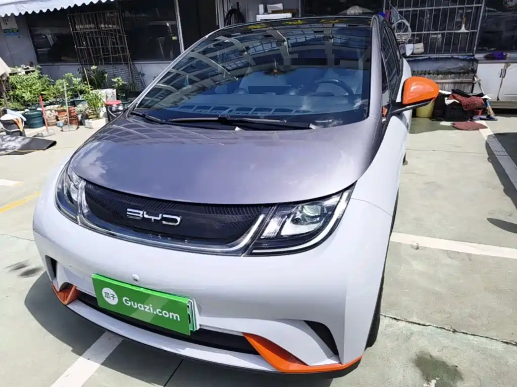 BYD Dolphin — миниатюра 3