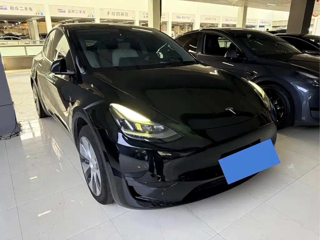 Tesla Model Y — миниатюра 3
