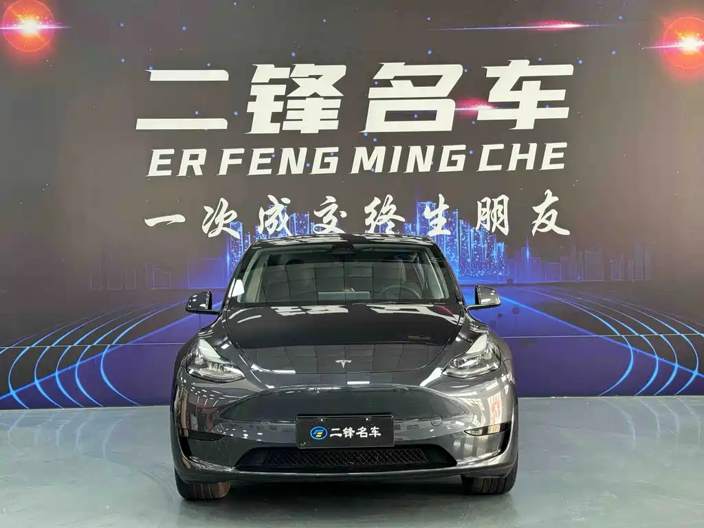 Tesla Model Y — миниатюра 2