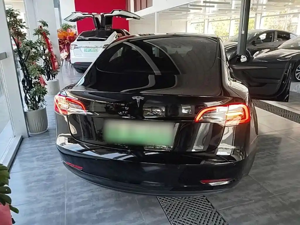 Tesla Model 3 — миниатюра 6