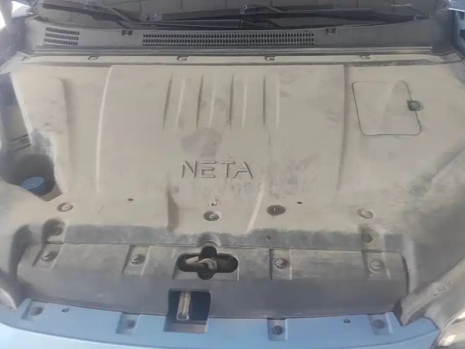 Neta Neta V — миниатюра 10