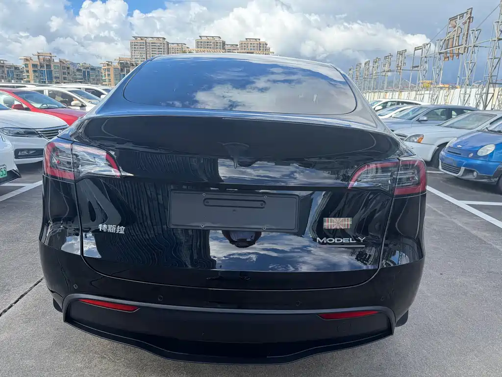Tesla Model Y — миниатюра 8