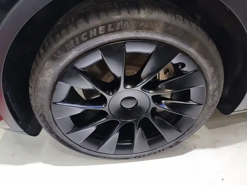 Tesla Model Y — миниатюра 23