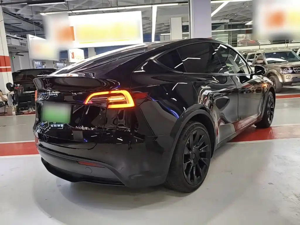Tesla Model Y — миниатюра 7