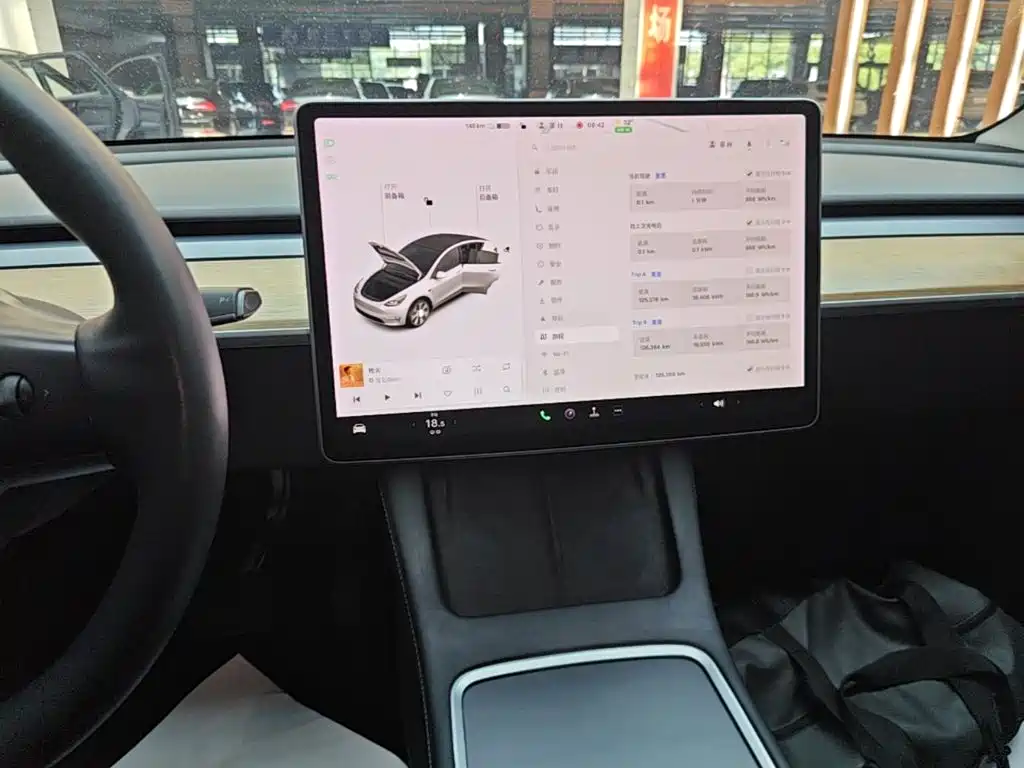 Tesla Model Y — миниатюра 13