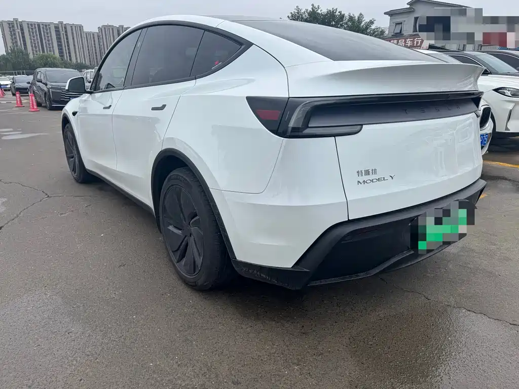 Tesla Model Y — миниатюра 7