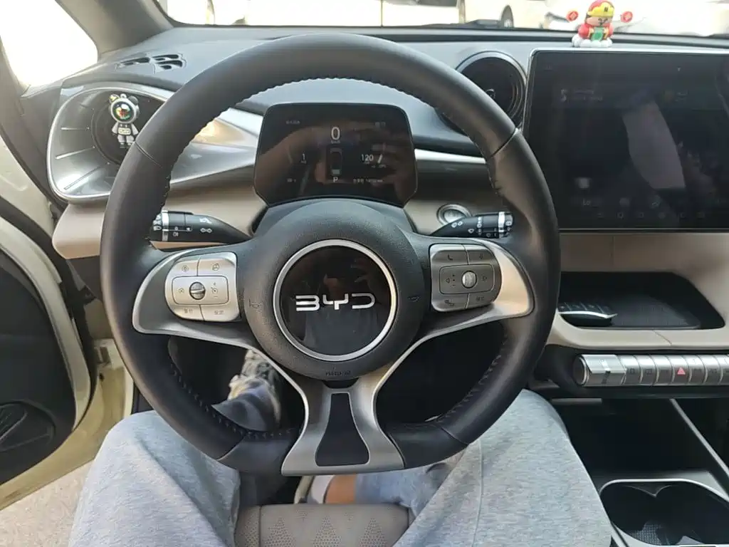 BYD Dolphin — миниатюра 11