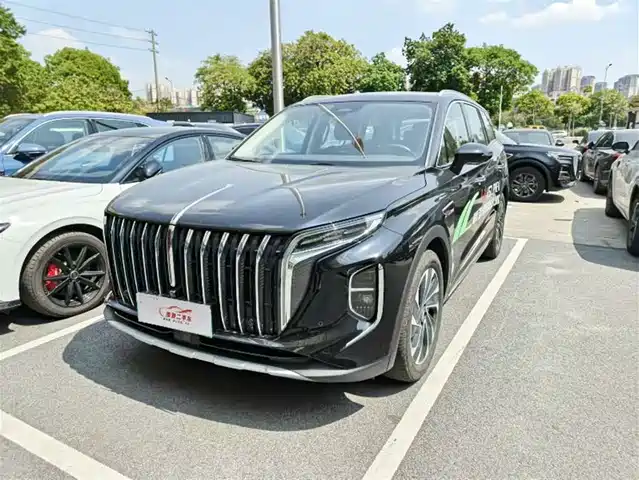 2024 Hongqi HS7
