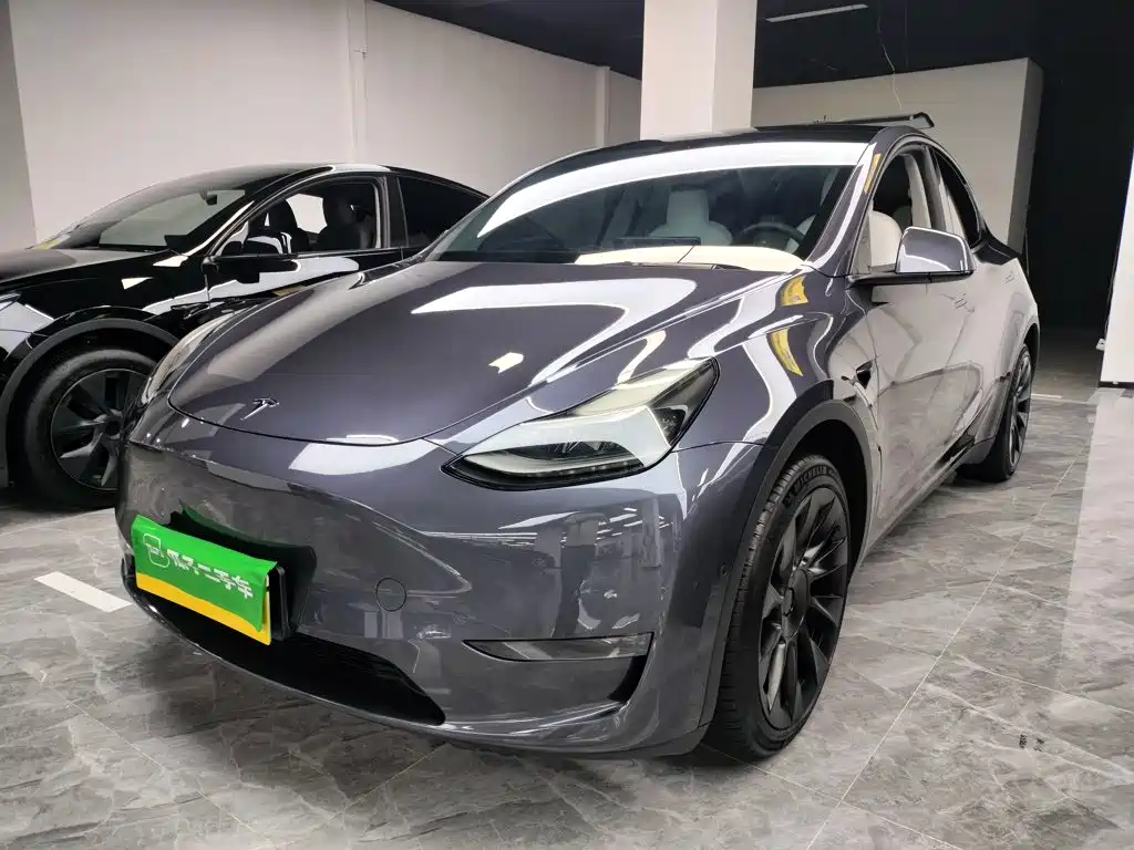Tesla Model Y — миниатюра 2