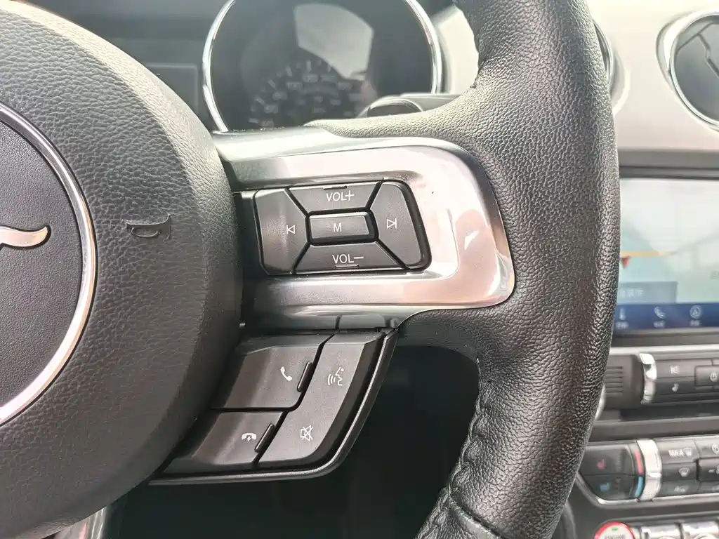 Ford Mustang — миниатюра 18