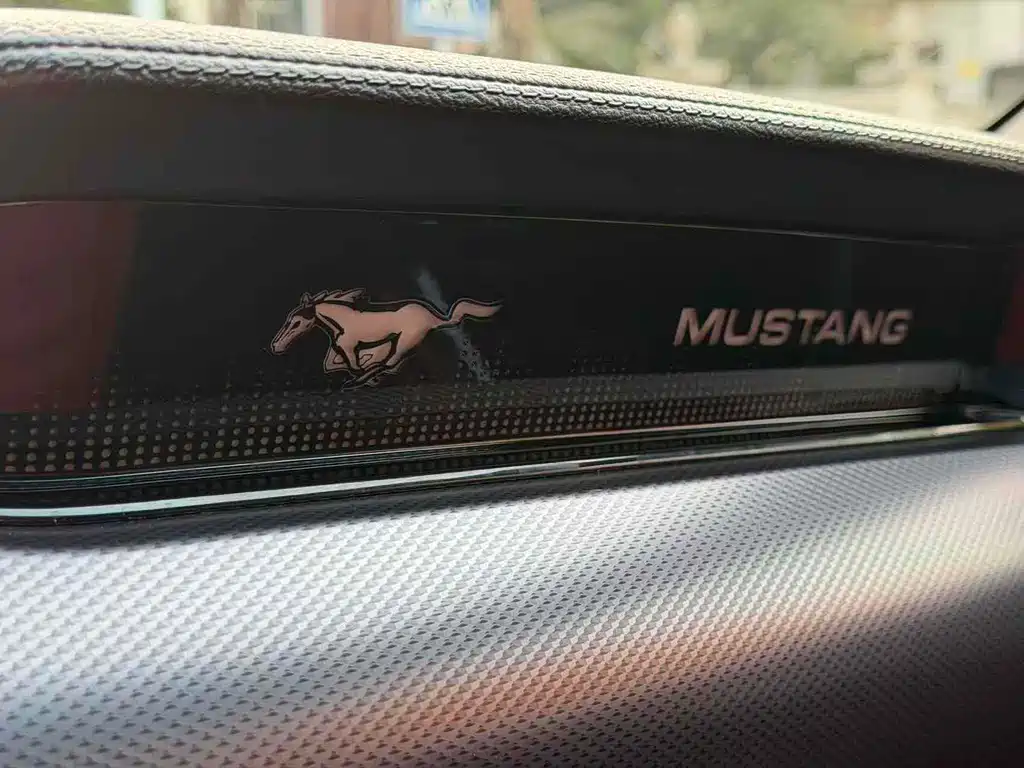 Ford Mustang — миниатюра 13