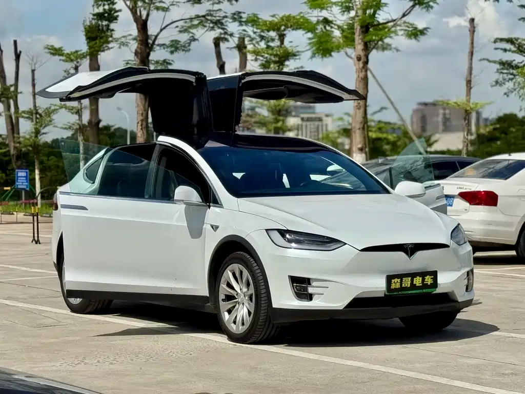 TESLA MODEL X
