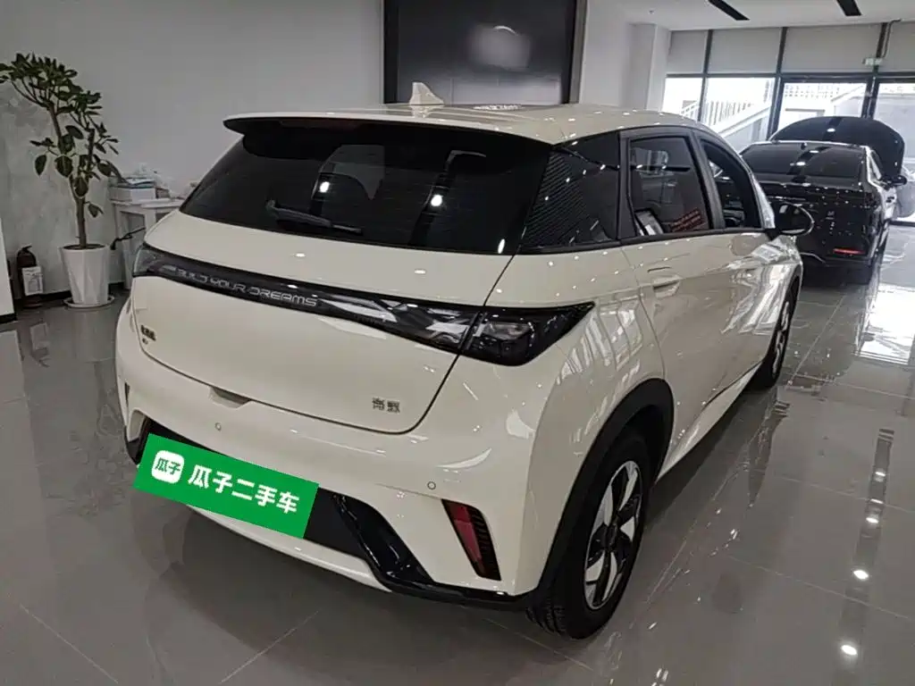 BYD Dolphin — миниатюра 7