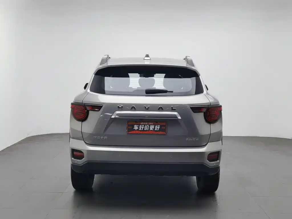 Haval Big Dog PLUS — миниатюра 4