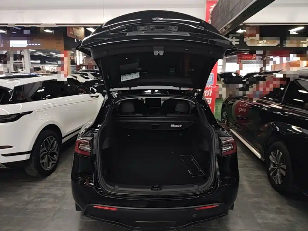 Tesla Model Y — миниатюра 19
