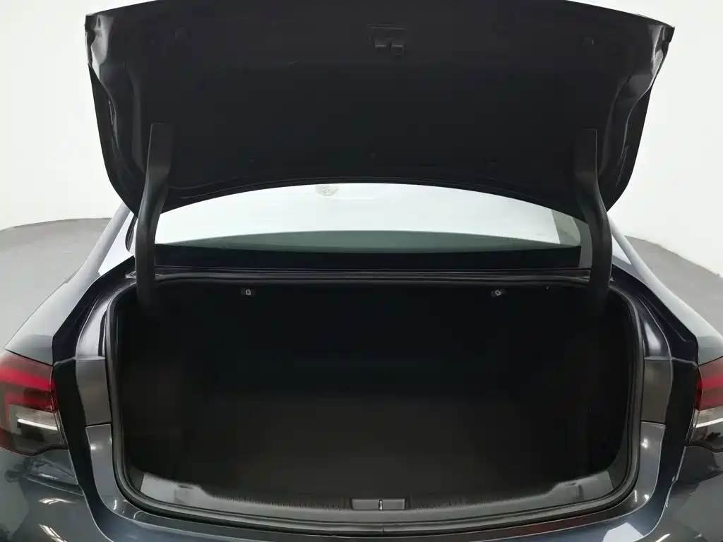 Buick Regal — миниатюра 16